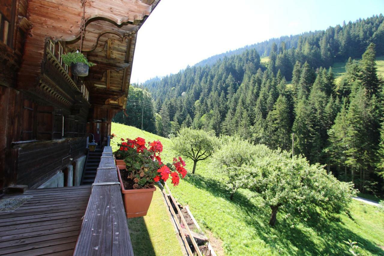 Les Favrod Apartment L'Etivaz ภายนอก รูปภาพ